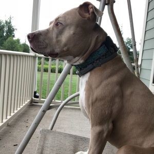 Meet your Posher, Jeana